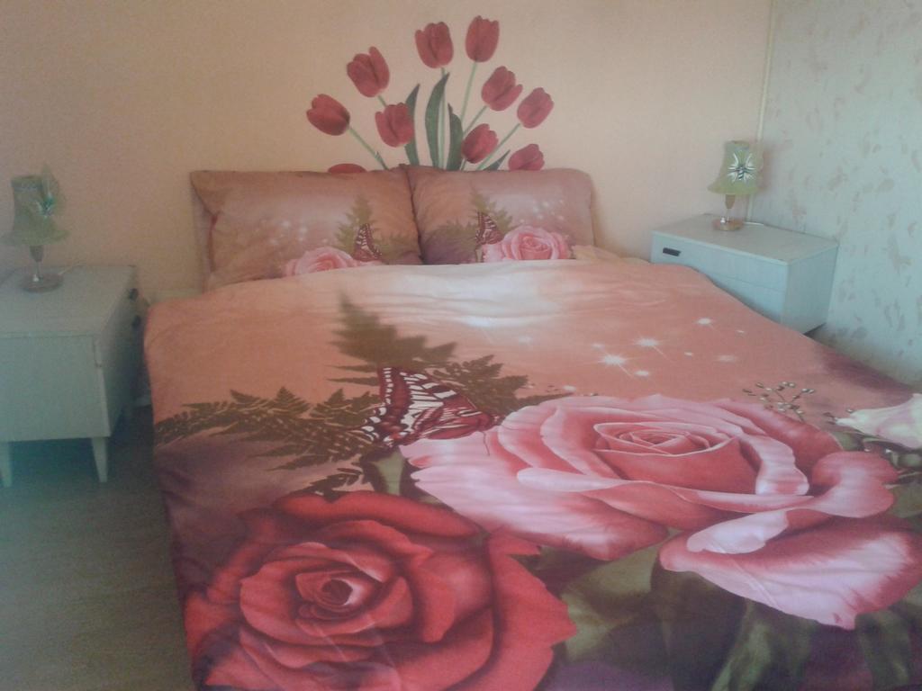 Appartement Dom Pod Roza à Leśna Chambre photo